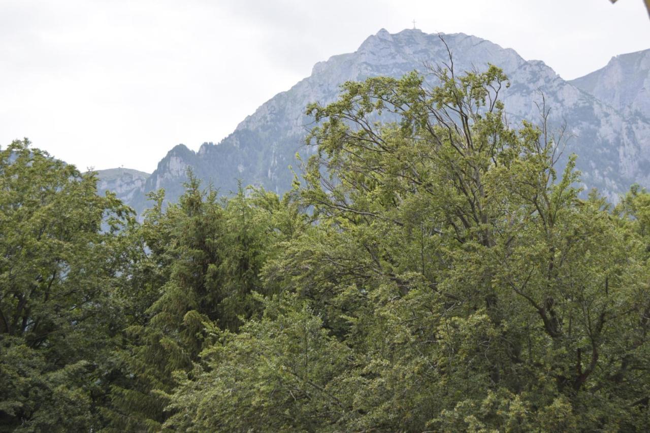 Pensiunea Clasic Buşteni Buitenkant foto