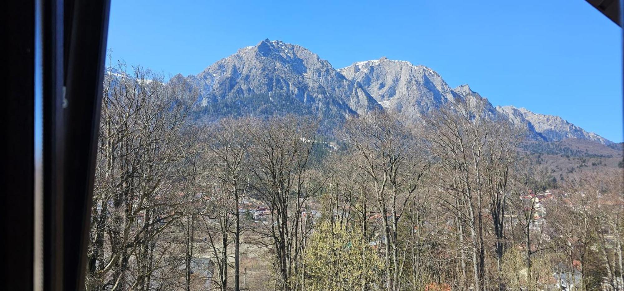 Pensiunea Clasic Buşteni Buitenkant foto